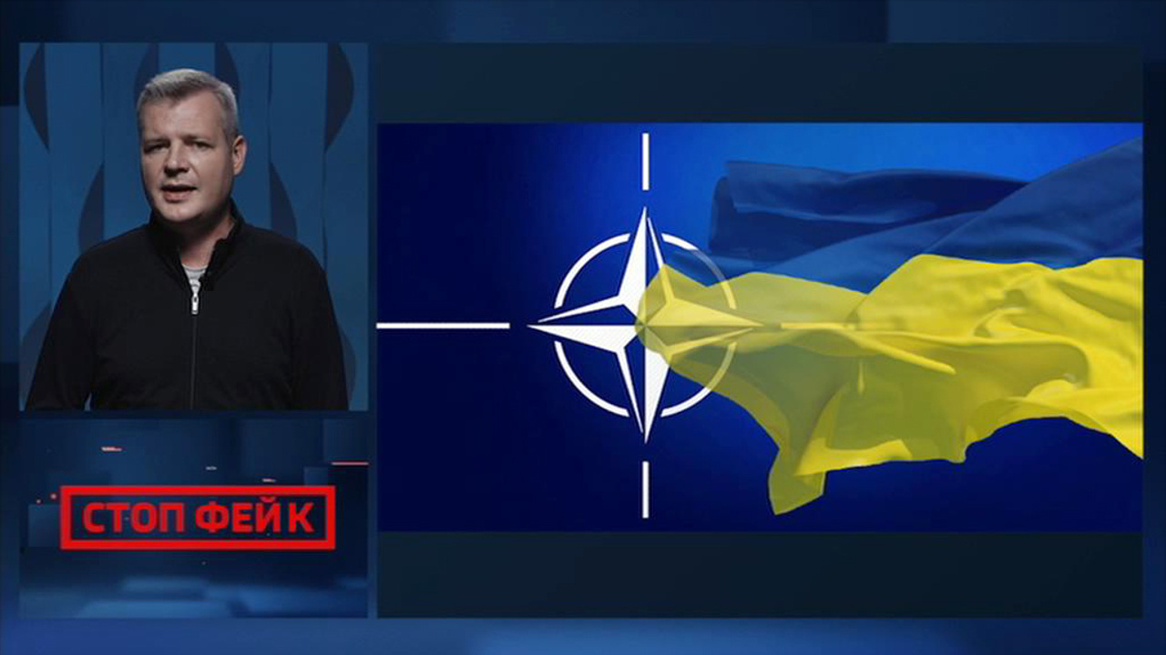 Кандидат в кандидаты: чего добилась Украина от НАТО