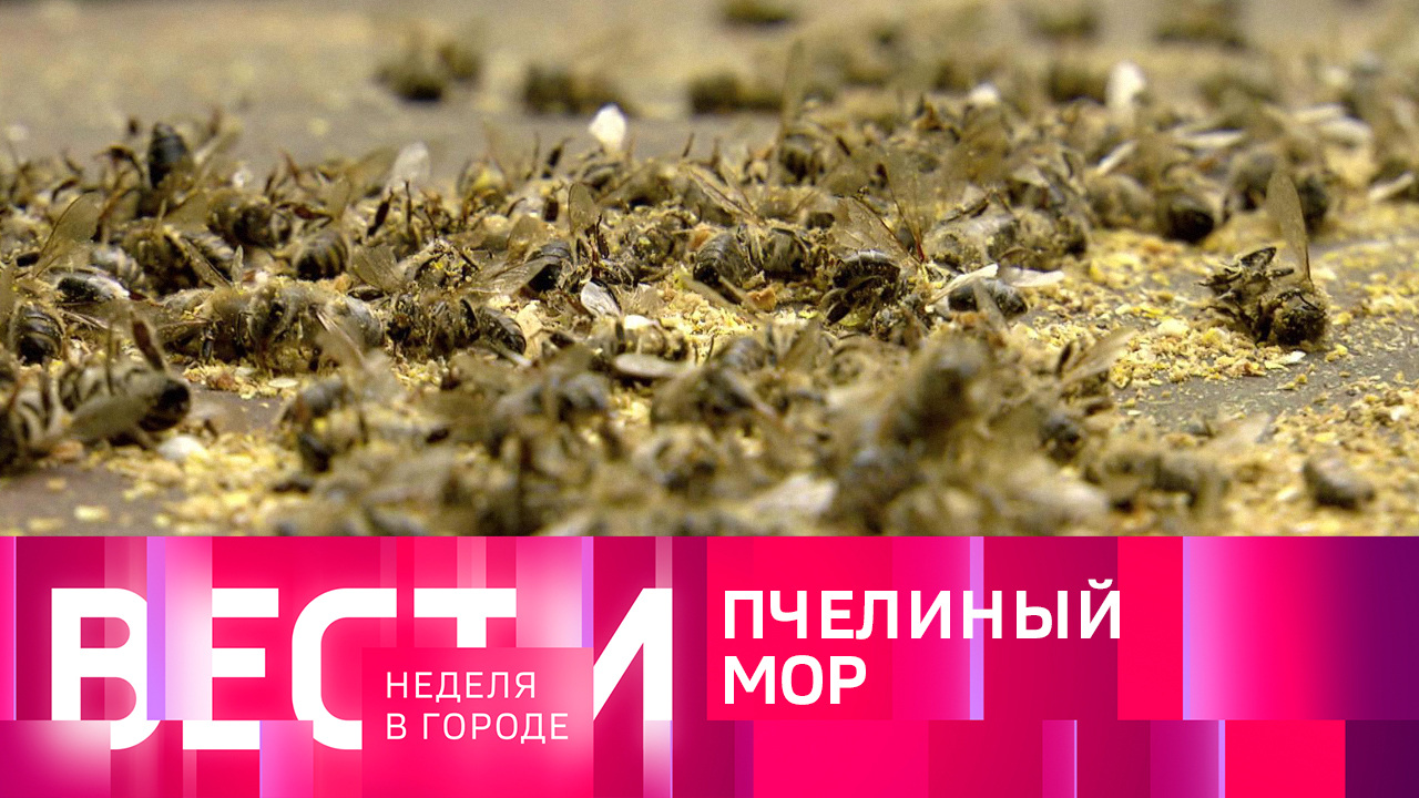 Эфир от 16.07.2023