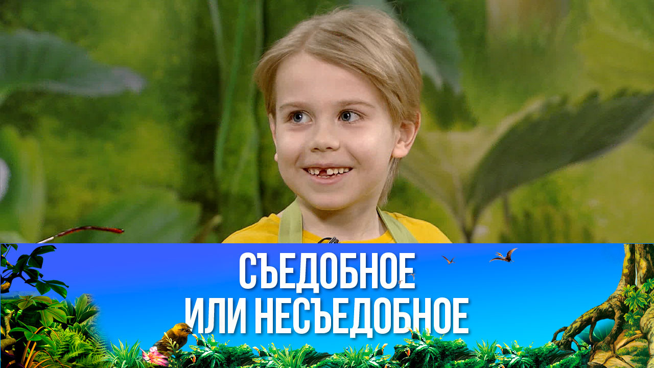 Омлет с беконом. Эфир от 31.07.2021
