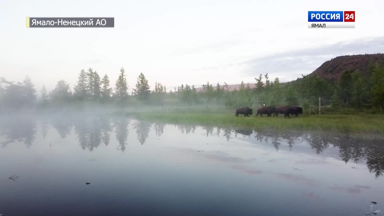 Эфир от 22.07.2023