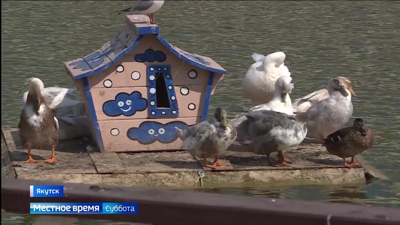 Эфир от 29.07.2023