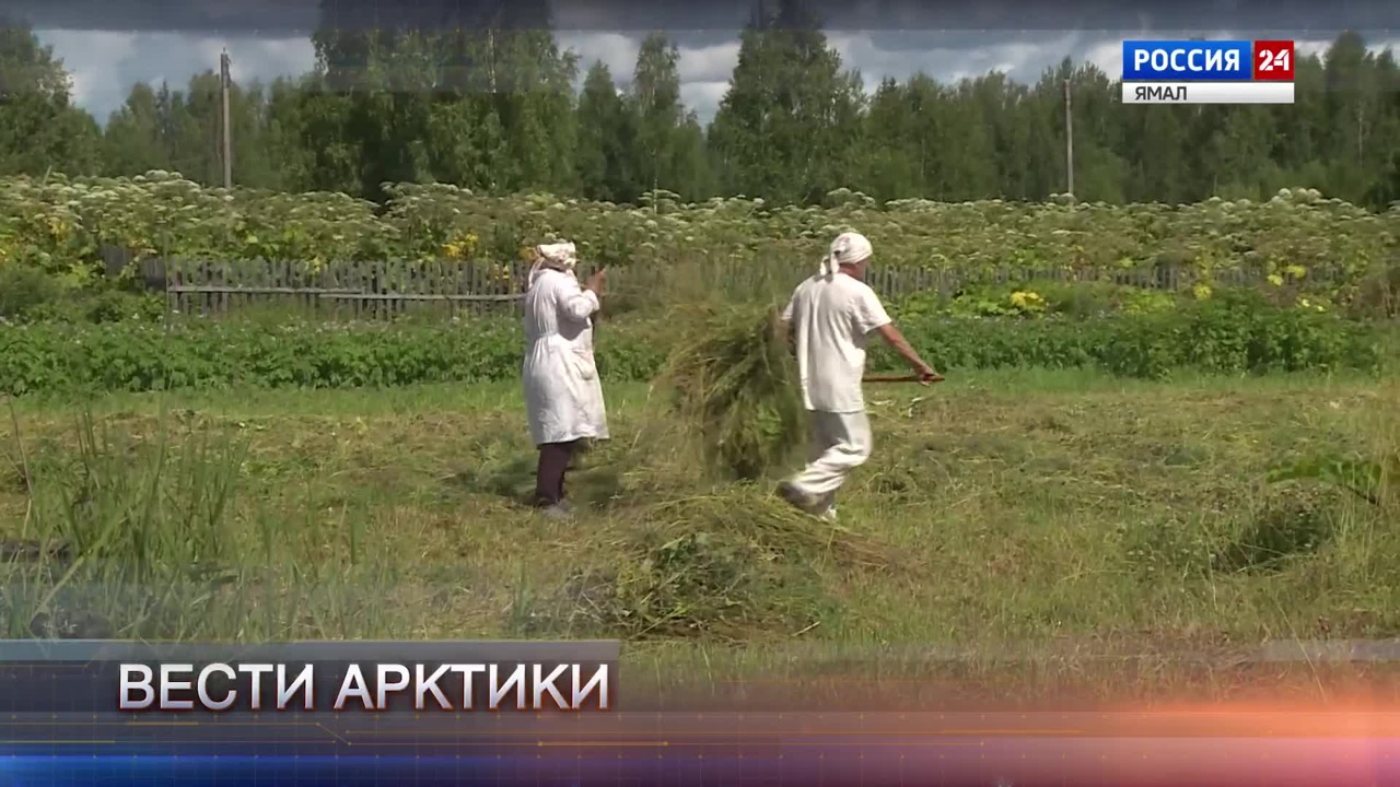 Эфир от 05.08.2023