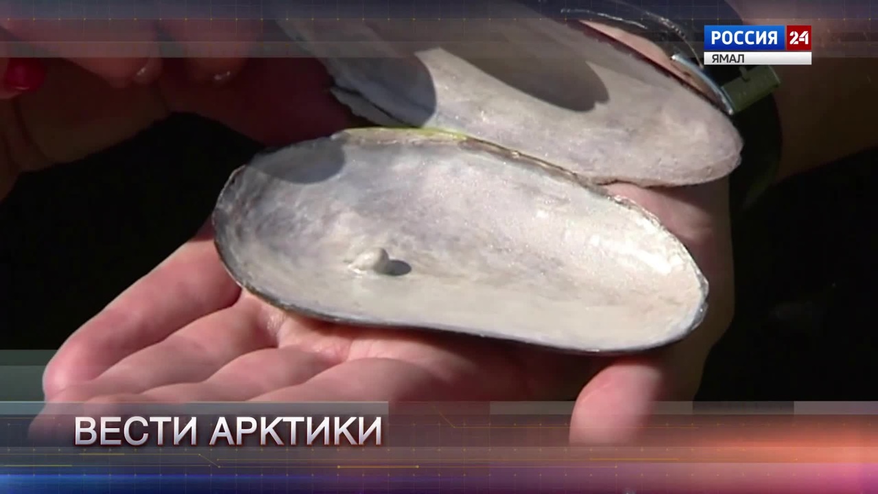 Эфир от 12.08.2023