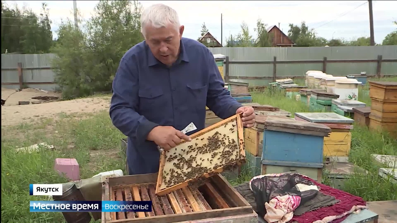 Эфир от 06.08.2023