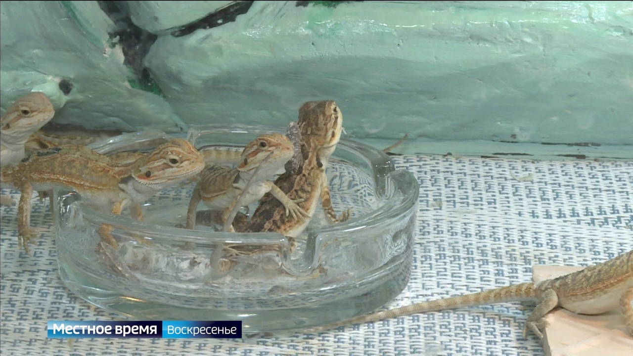 Эфир от 20.08.2023