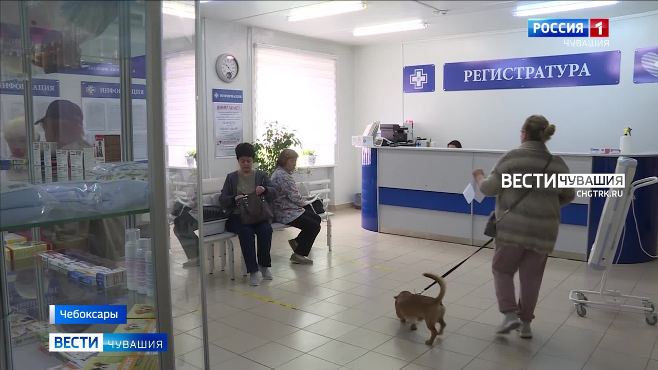 В Чувашии от бешенства массово прививают домашних животных
