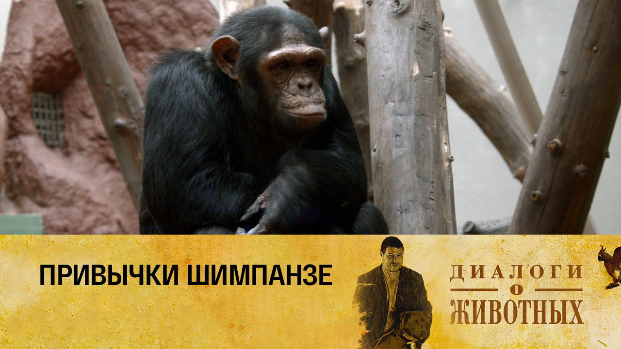 Государственный зоологический парк Удмуртии