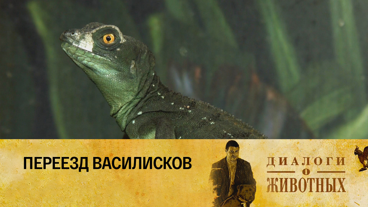 Государственный зоологический парк Удмуртии