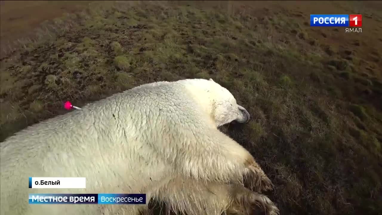 Эфир от 10.09.2023