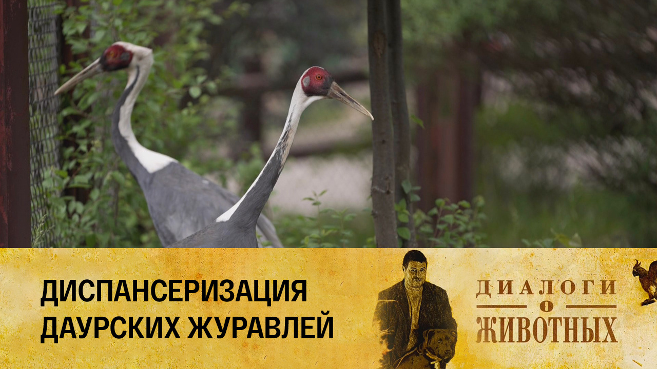 Государственный зоологический парк Удмуртии