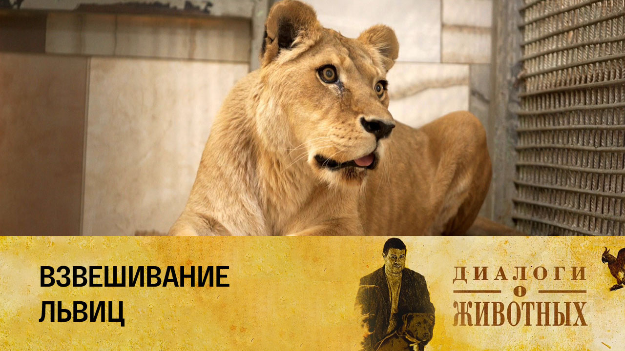 Государственный зоологический парк Удмуртии