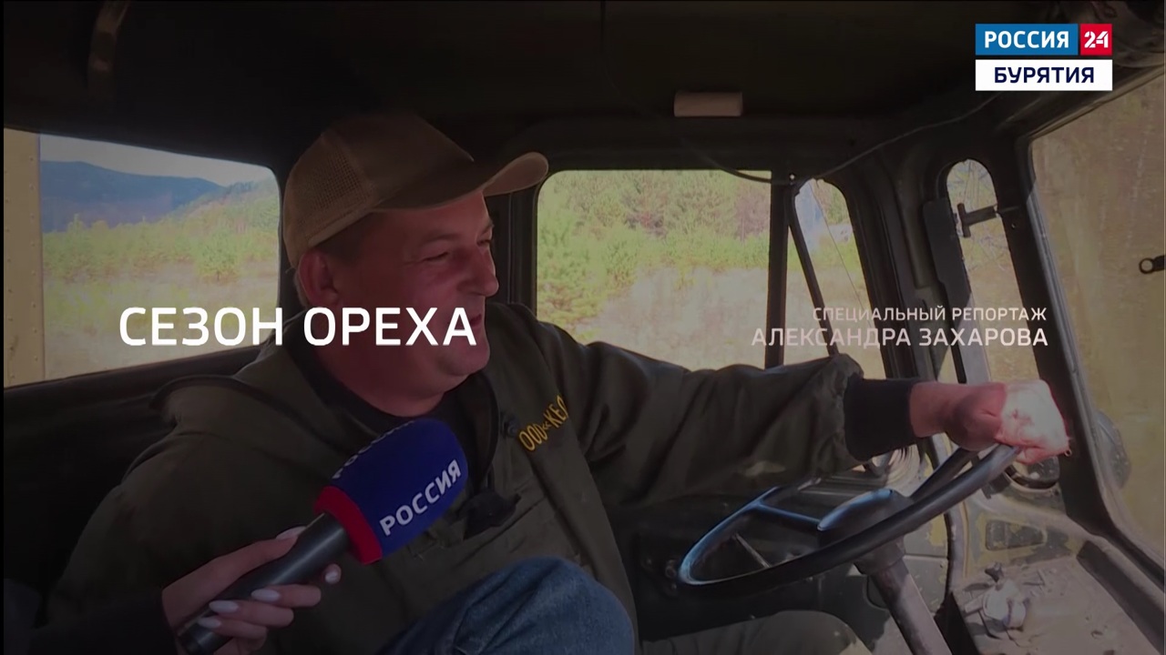 В Бурятии стартовал сезон сбора орехов