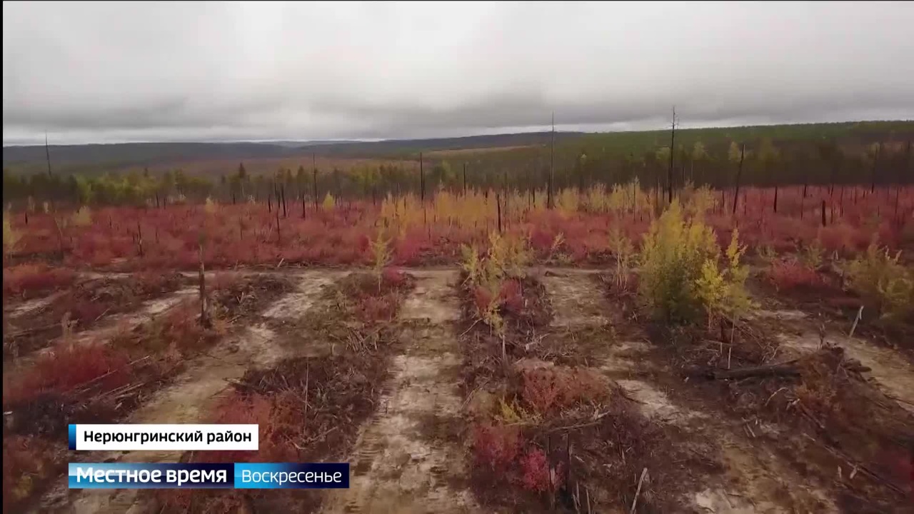 Эфир от 24.09.2023