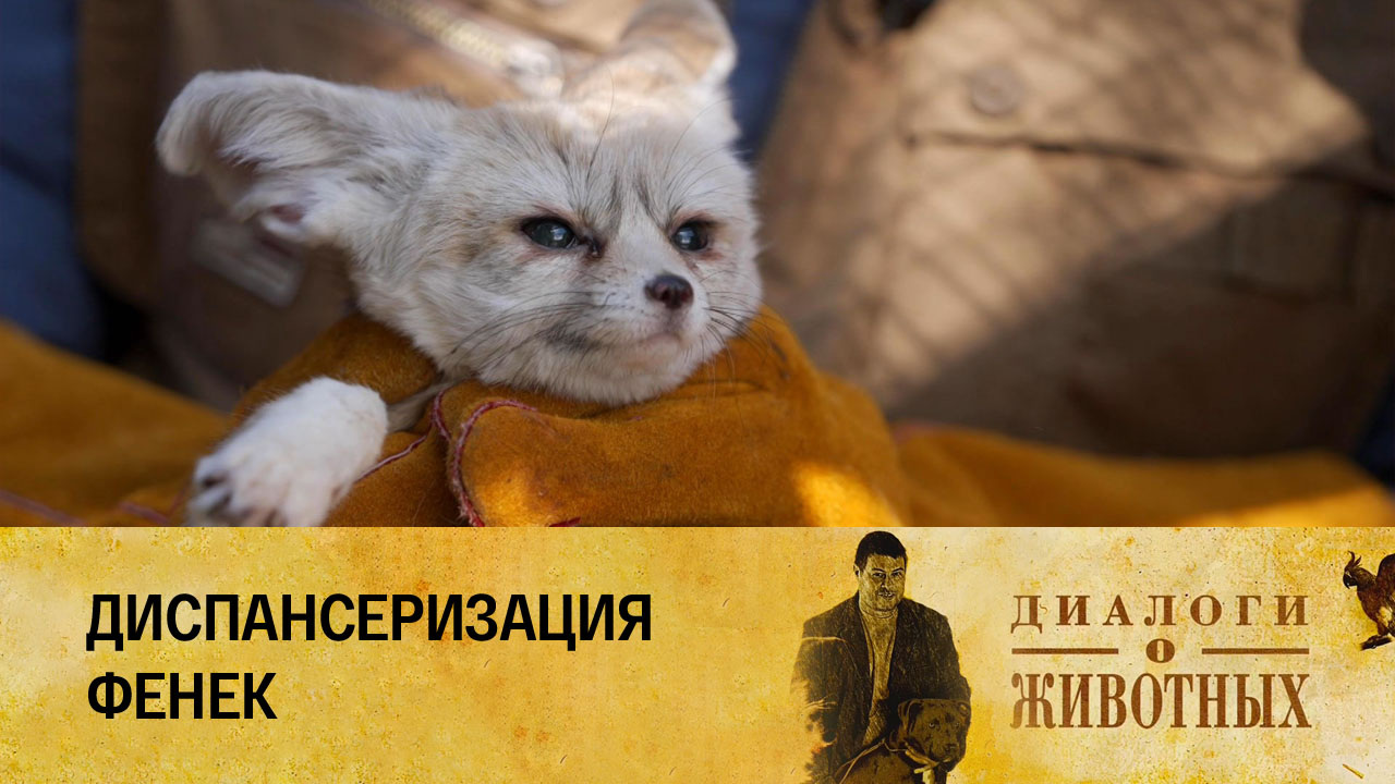 Государственный зоологический парк Удмуртии