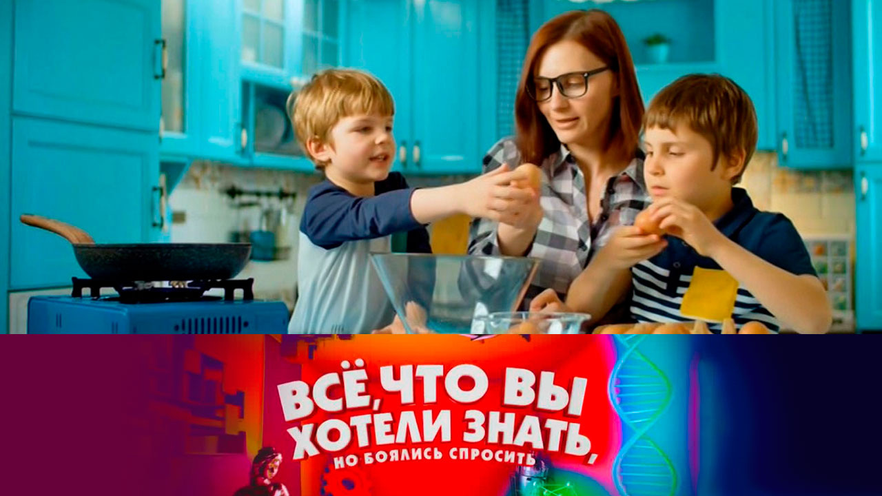 Эфир от 09.11.2022