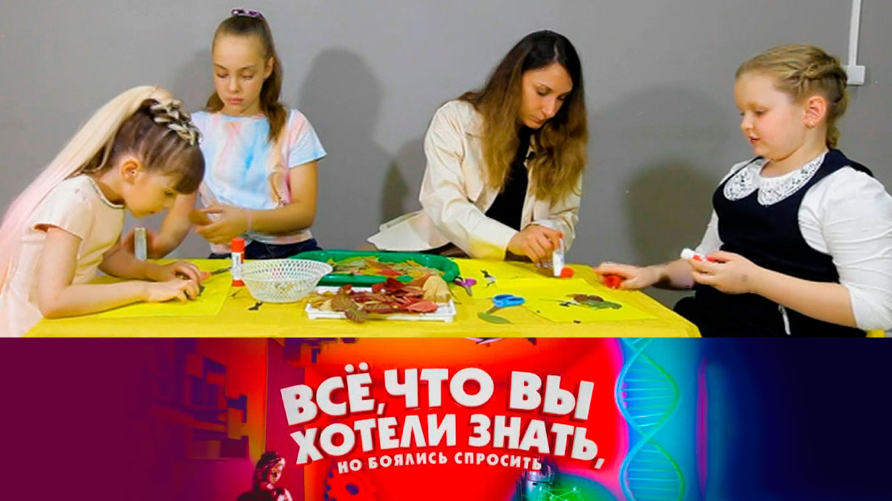Эфир от 26.10.2022