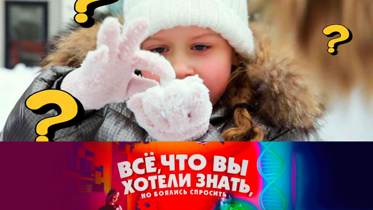 Эфир от 23.12.2021