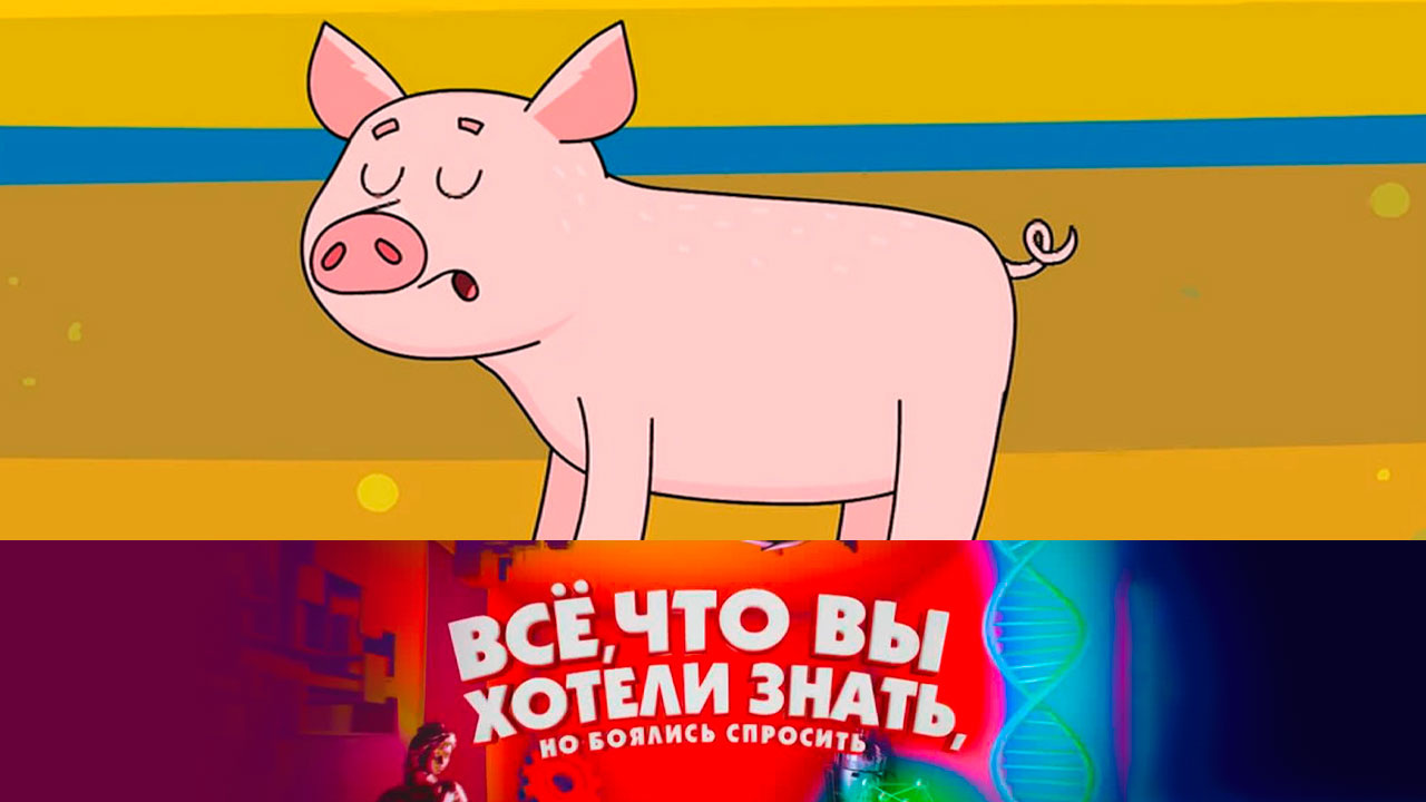 Эфир от 01.06.2022