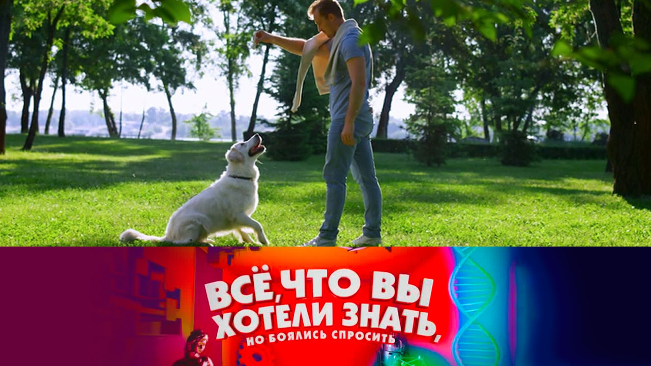 Эфир от 29.09.2022