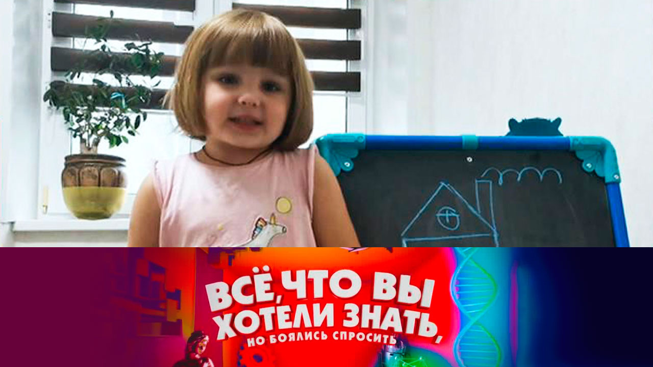 Эфир от 02.12.2021