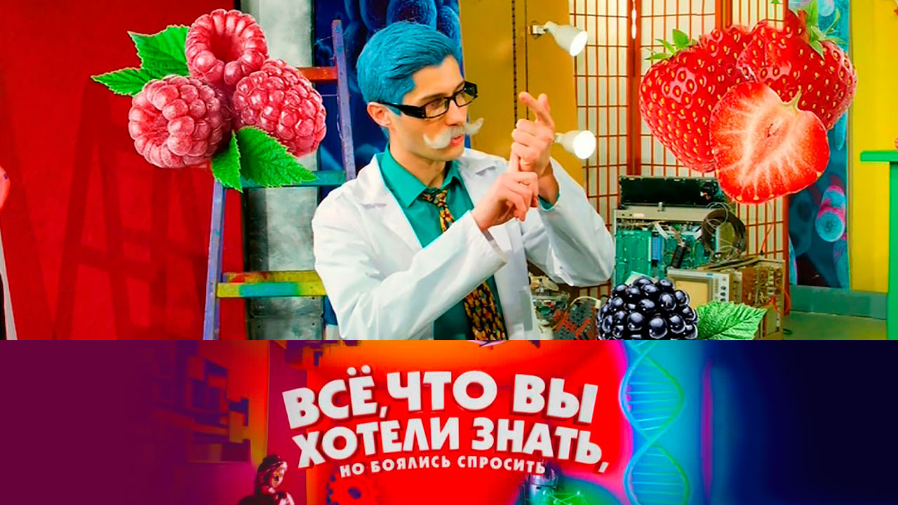 Эфир от 25.11.2021