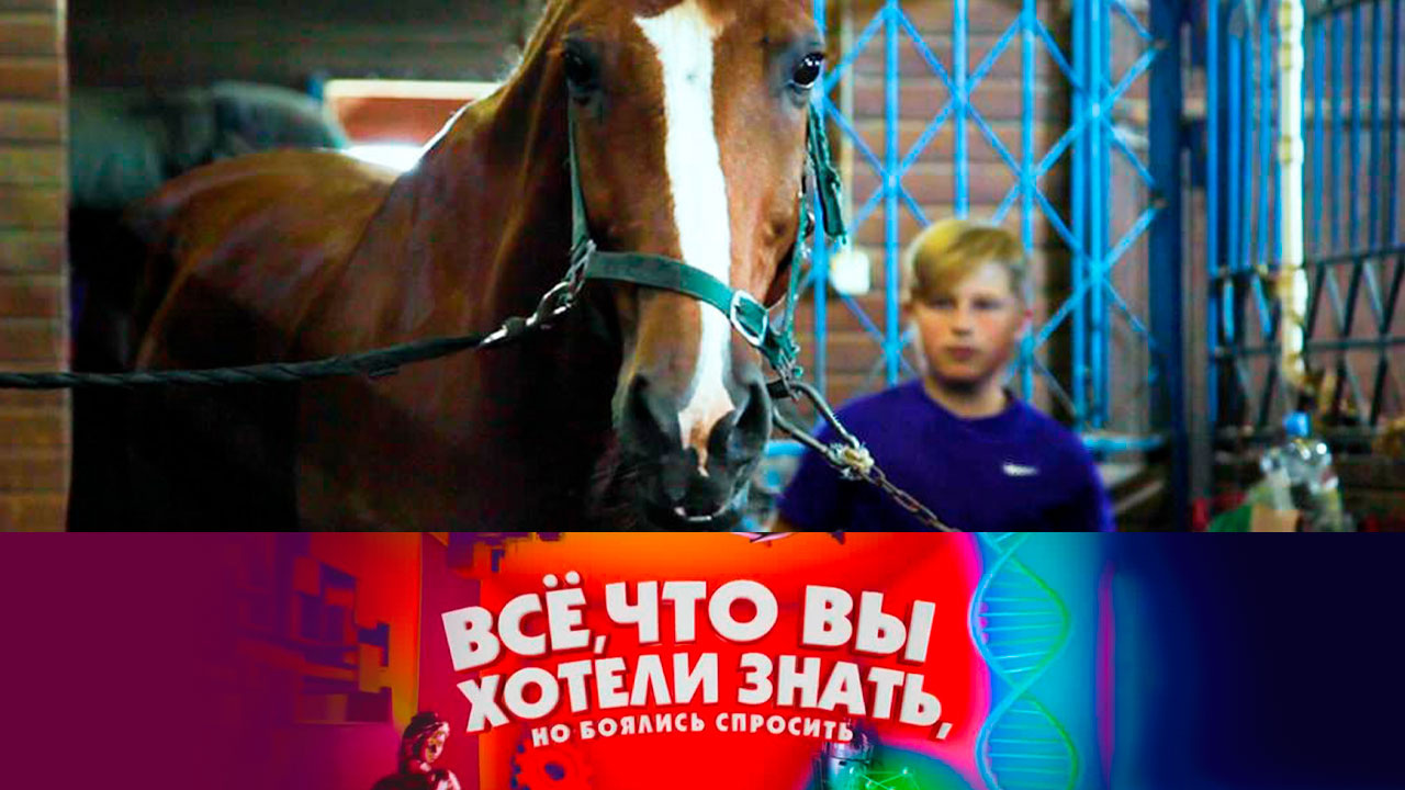 Эфир от 19.01.2022