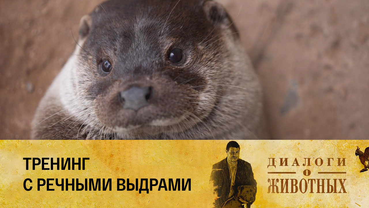 Государственный зоологический парк Удмуртии
