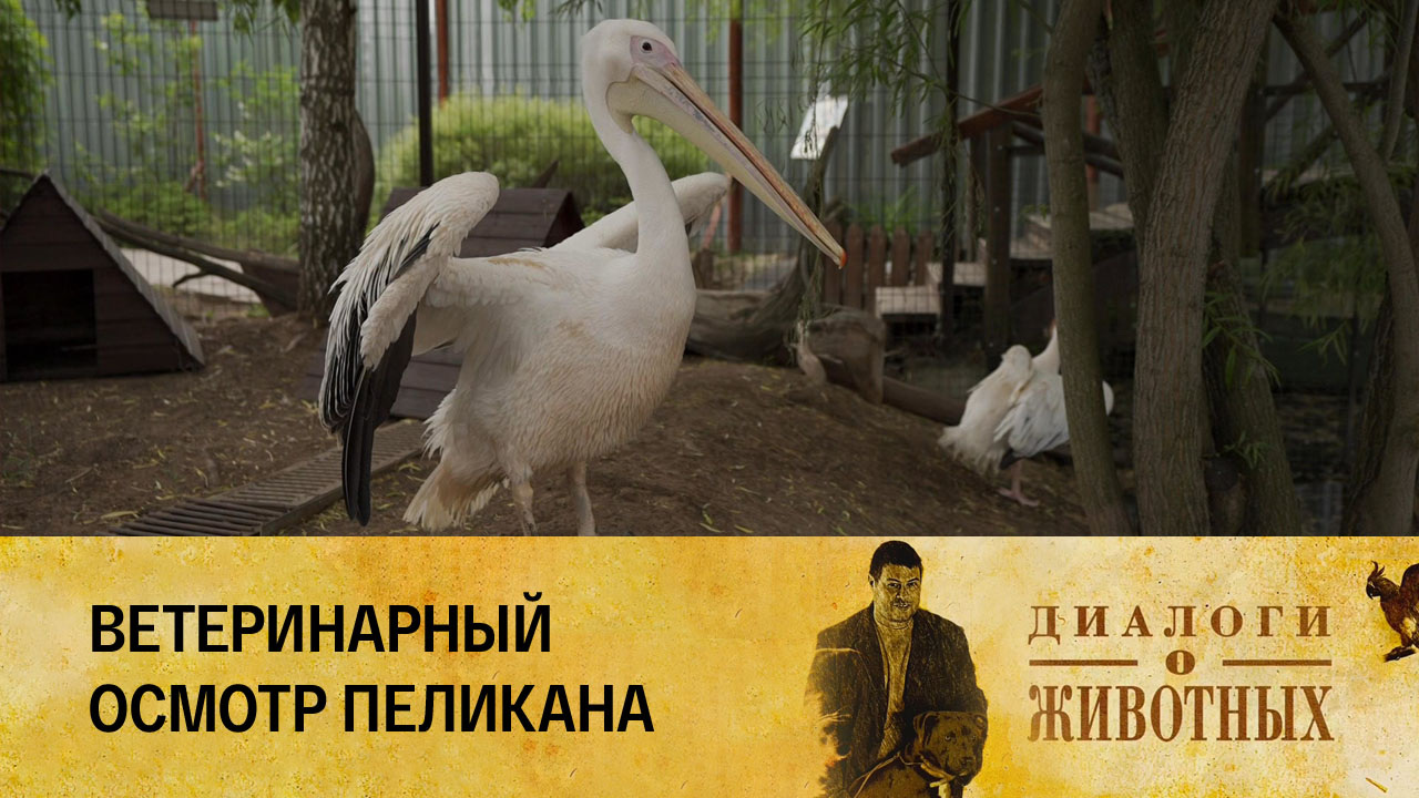Государственный зоологический парк Удмуртии