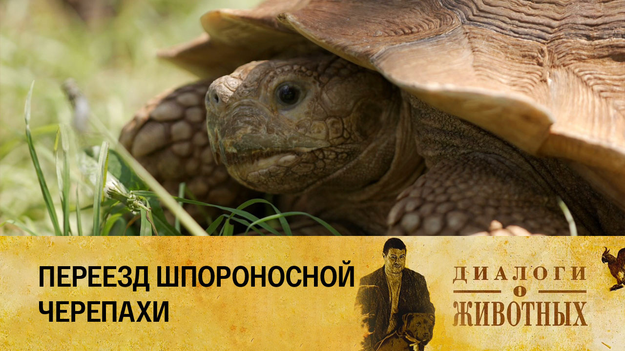 Государственный зоологический парк Удмуртии