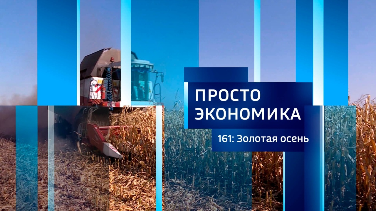 Золотая осень