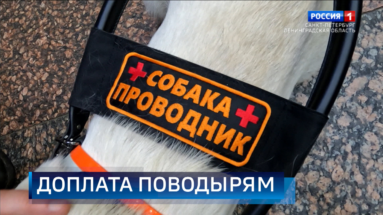 Эфир от 22.10.2023