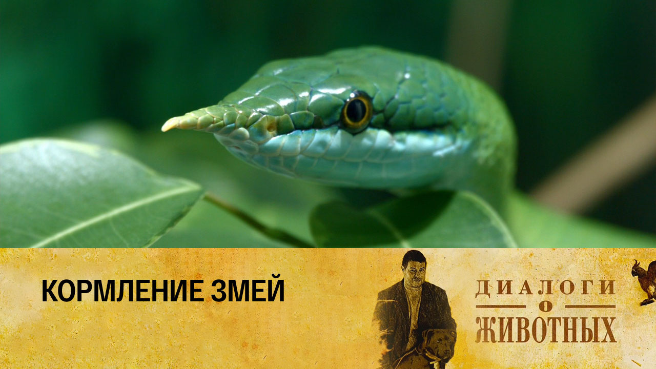 Государственный зоологический парк Удмуртии