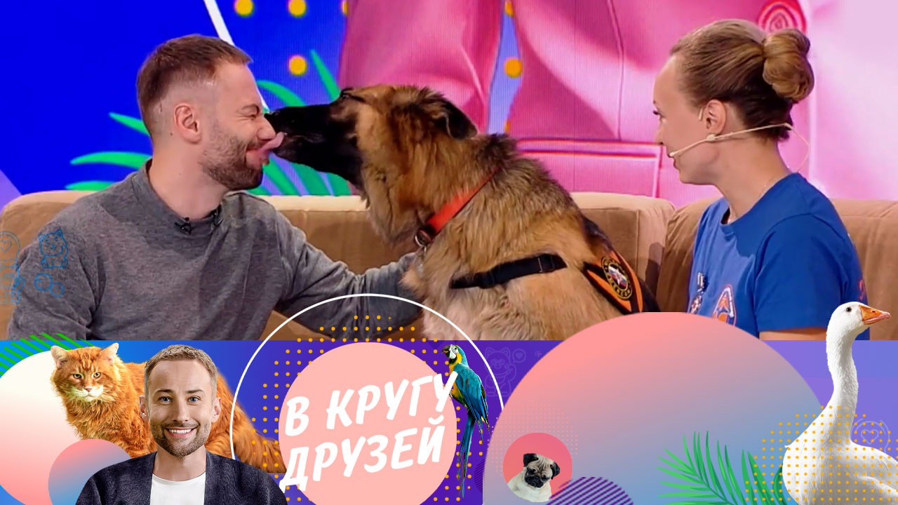 Эфир от 28.10.2023