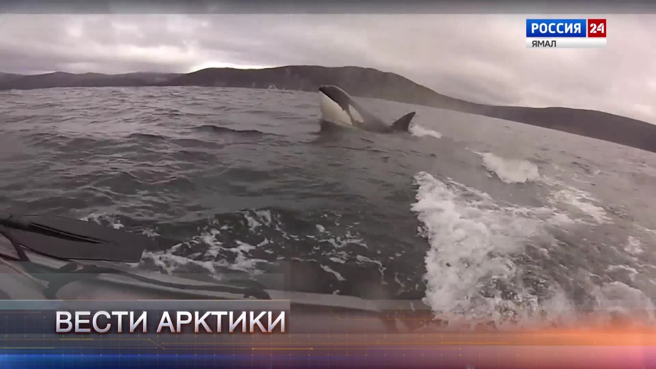 Эфир от 28.10.2023