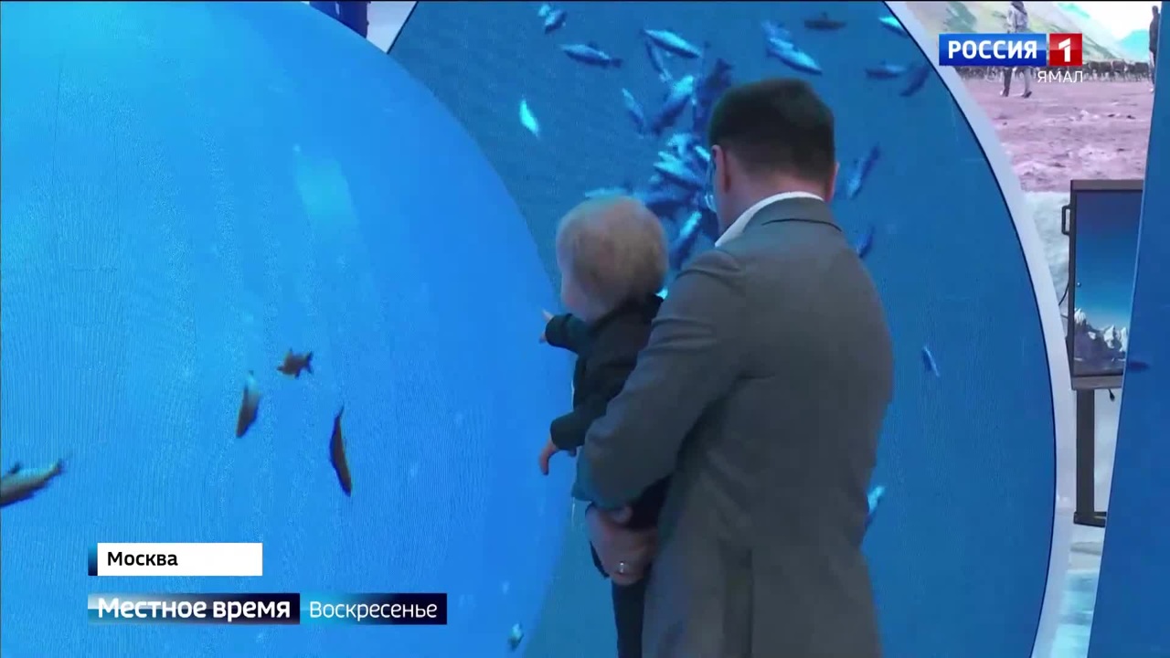 Эфир от 05.11.2023