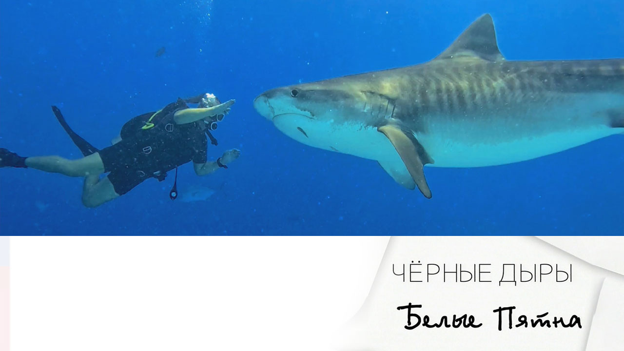 Эфир 02.09.2023