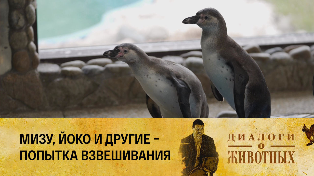 Государственный зоологический парк Удмуртии