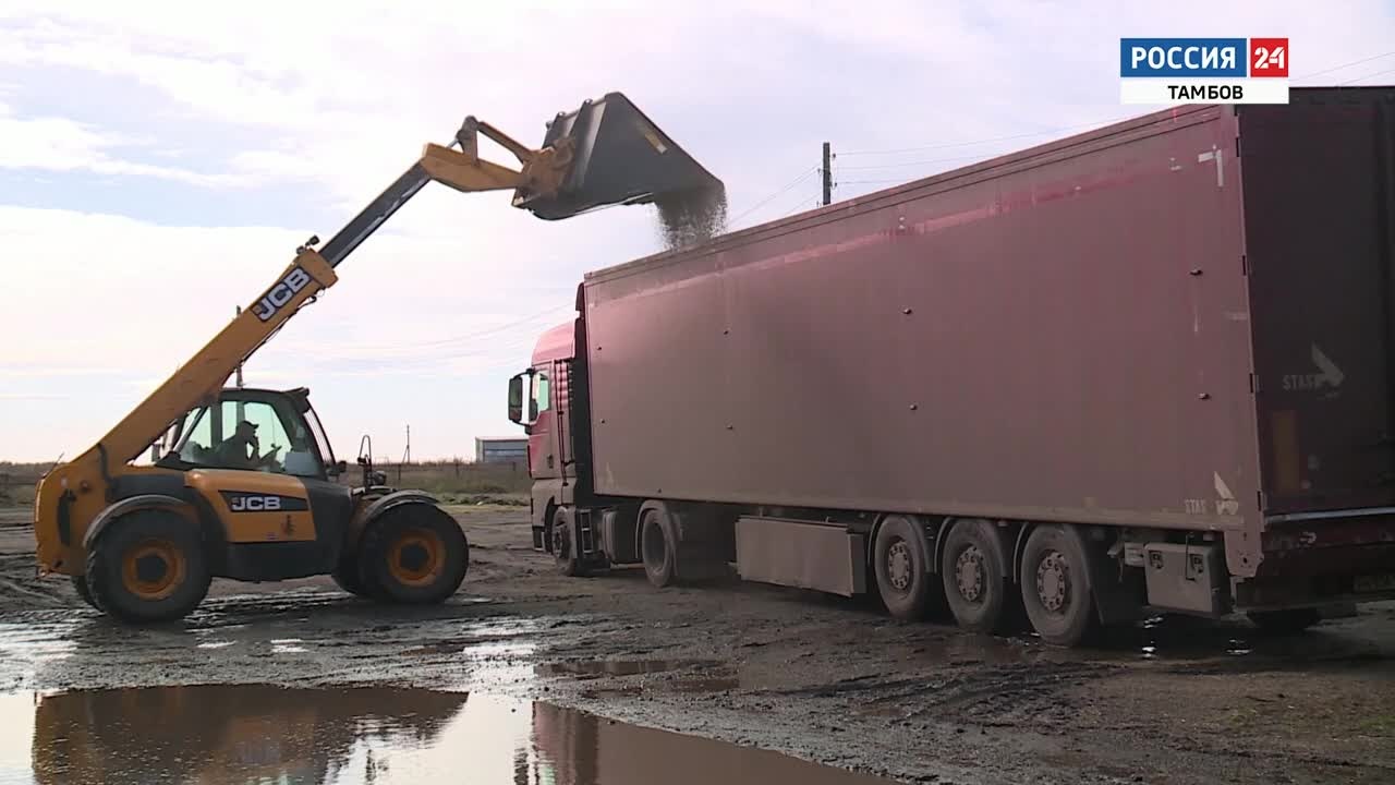 Суворово – Флагман сельхозпроизводителей Уваровского района