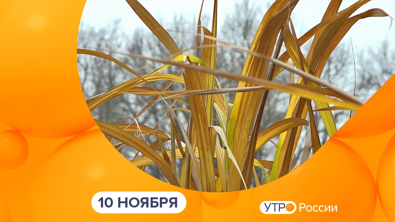 Эфир от 10.11.2023
