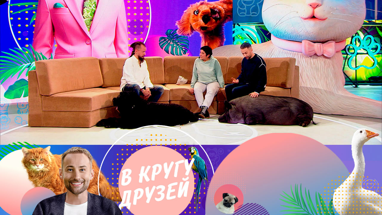Эфир от 11.11.2023