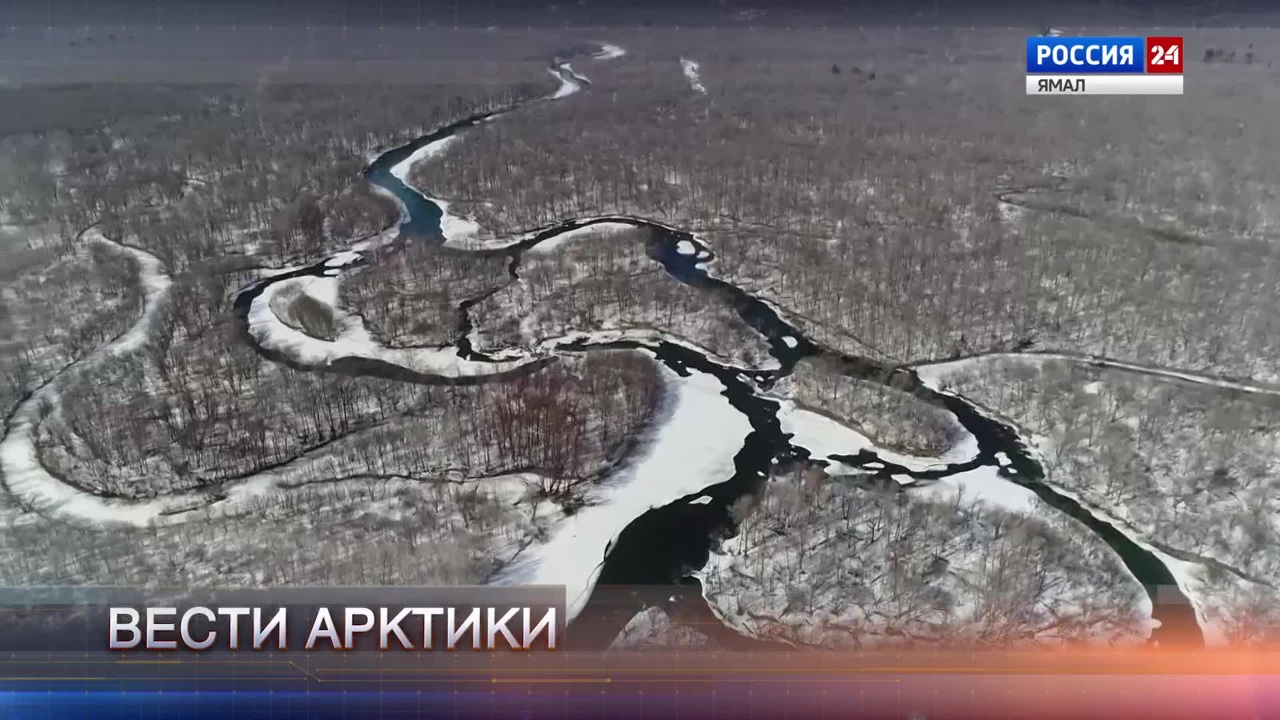 Эфир от 11.11.2023