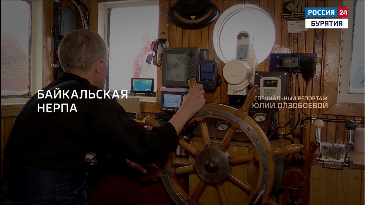 В изучении Байкала особое внимание заслуживает нерпа
