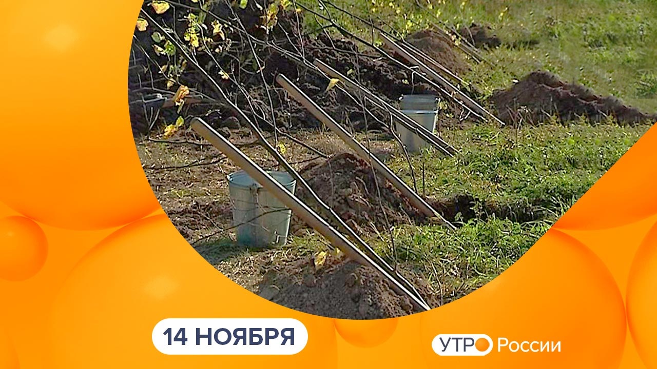 Эфир от 14.11.2023