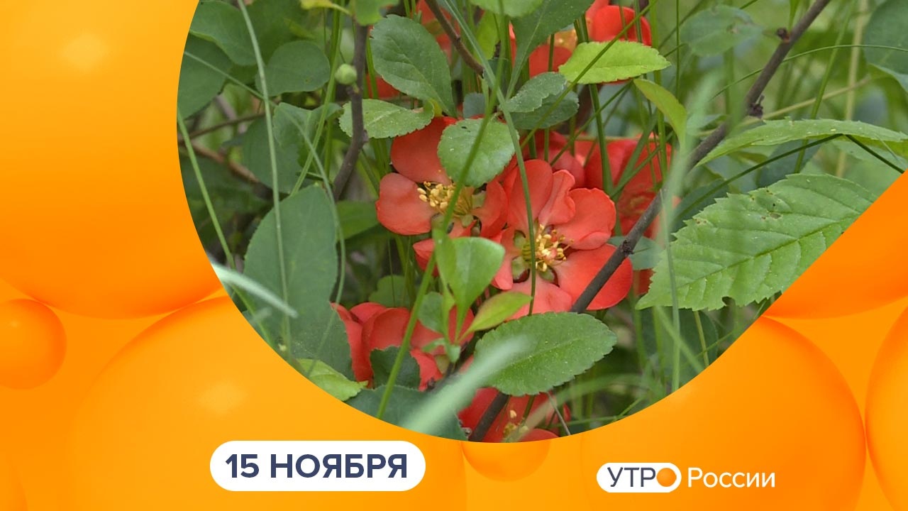 Эфир от 15.11.2023