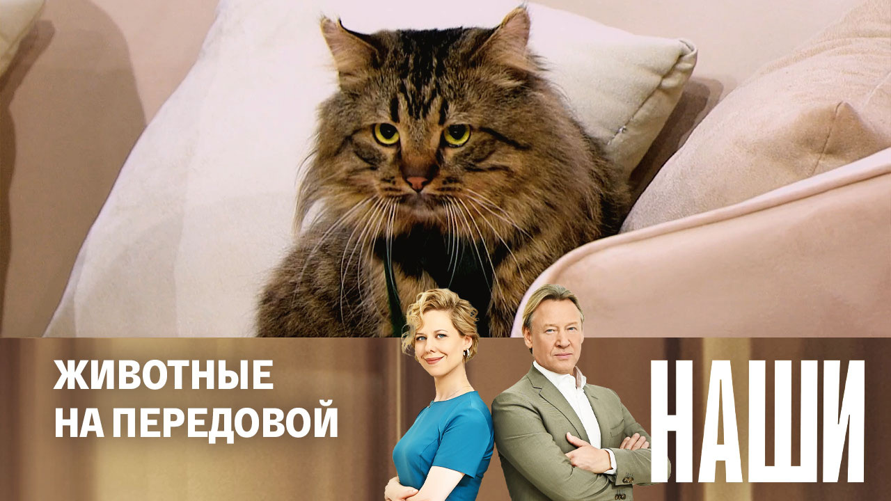 Эфир от 16.11.2023