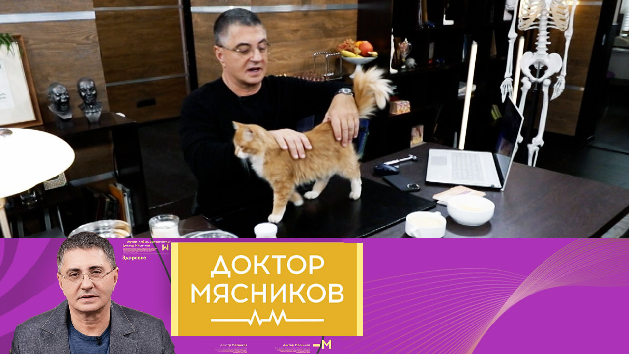 Вся правда о молоке, витамин D, устаревшие лекарства, откуда берется нетерпимость. Эфир от 18.11.2023