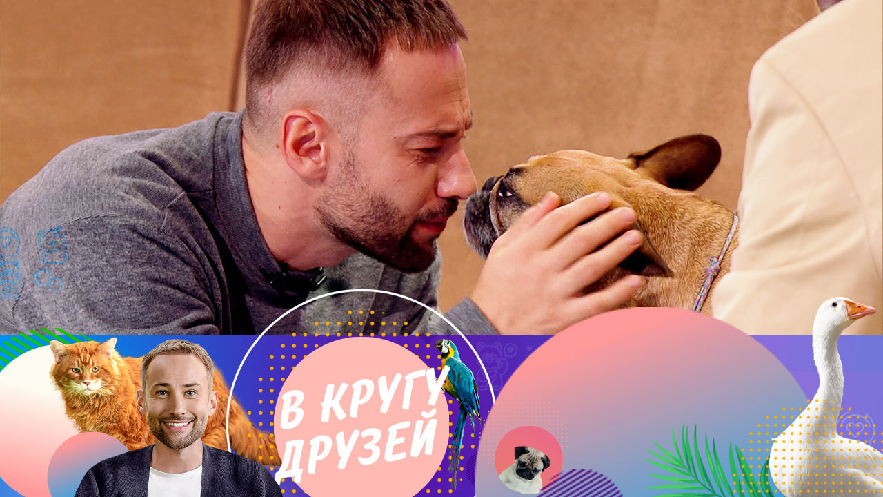 Эфир от 18.11.2023
