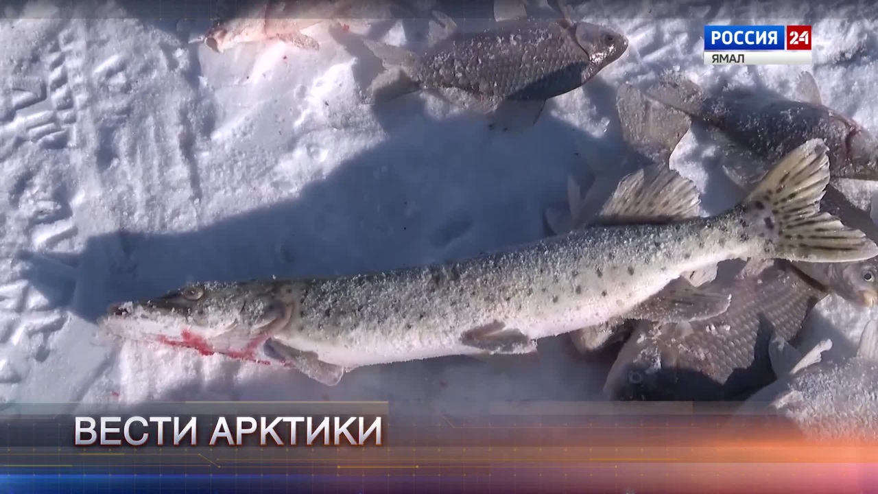 Эфир от 18.11.2023