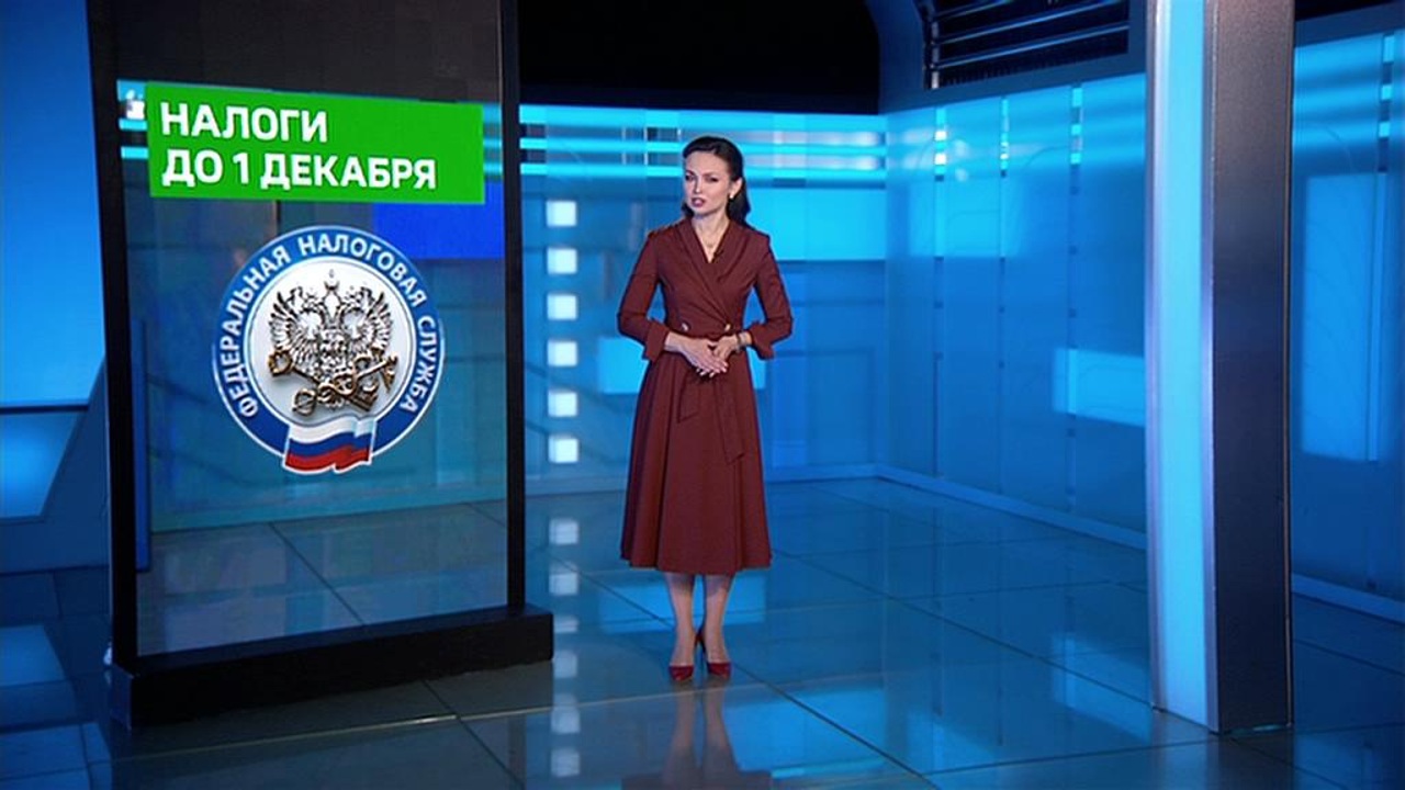 Налоги до 1 декабря
