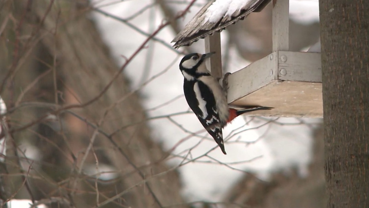 Эфир от 23.11.2023